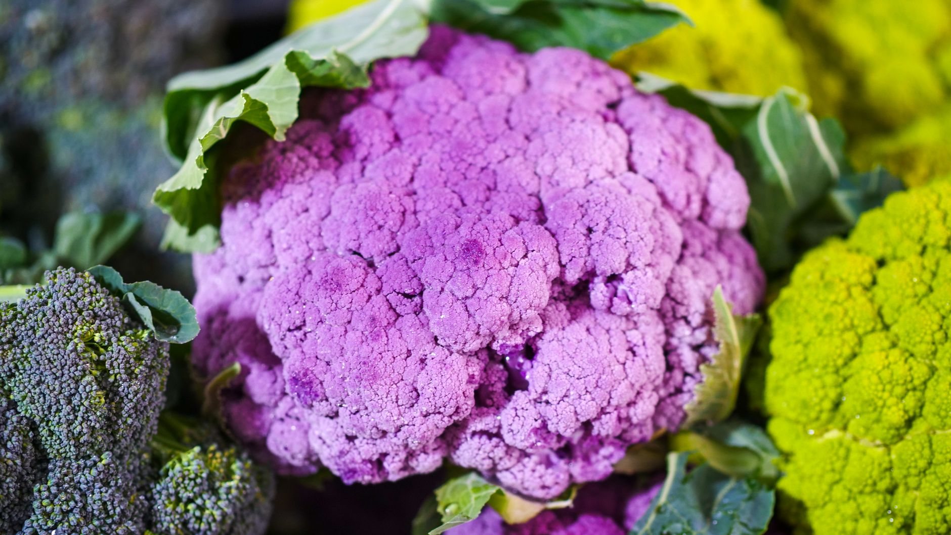 Gesunde Ernährung: Was Zellbiologie wirklich erklärt