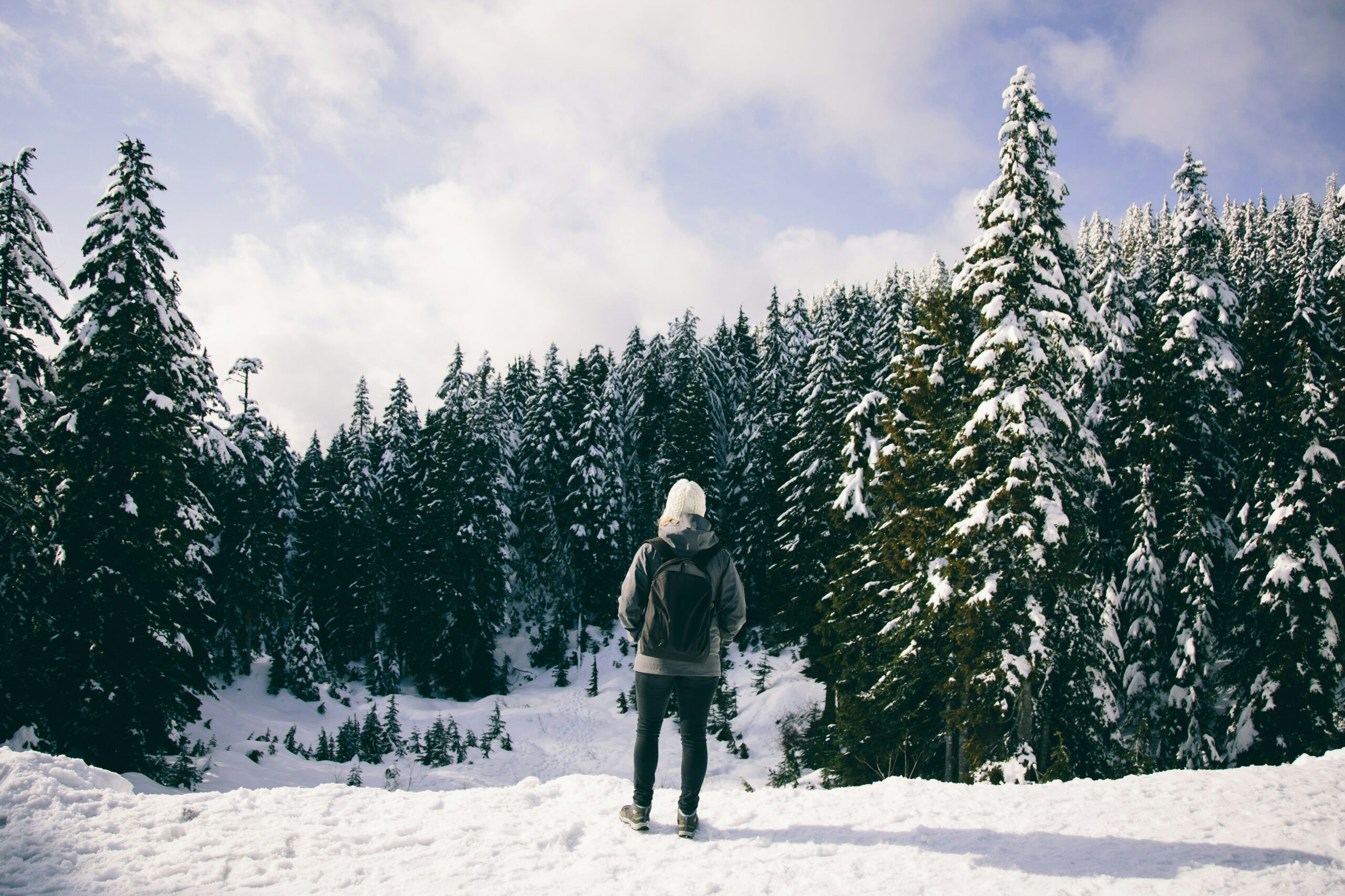 Winterwandern