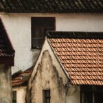 Marder im Haus: So schützen Familien ihr Zuhause