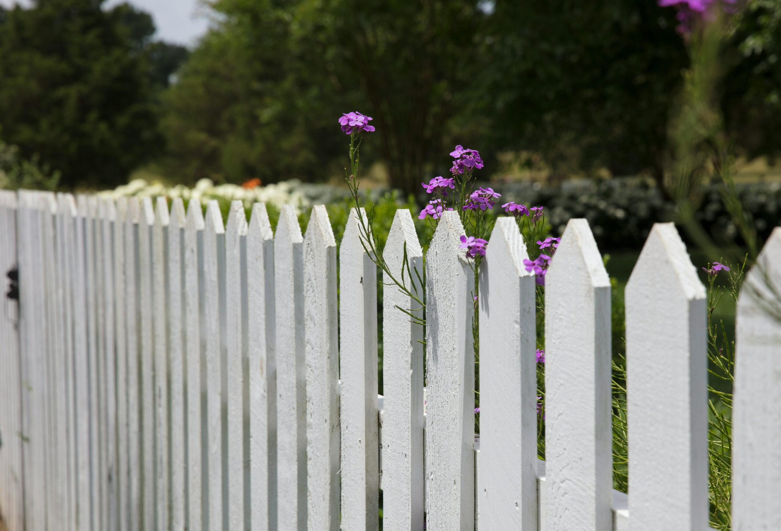 richtige Zaun für jeden Garten